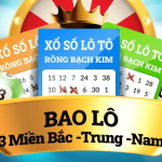 bao-lo-la-gi